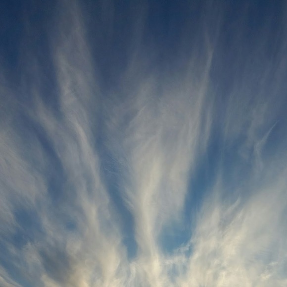 Meet your Posher, Brook - Picture 1 of 1